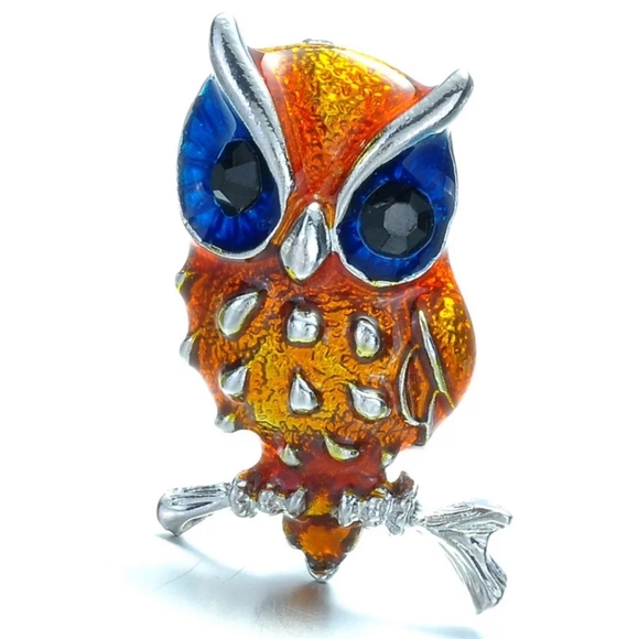 Jewelry - 2 FOR $12. Vintage Inspired Owl Lapel Brooch